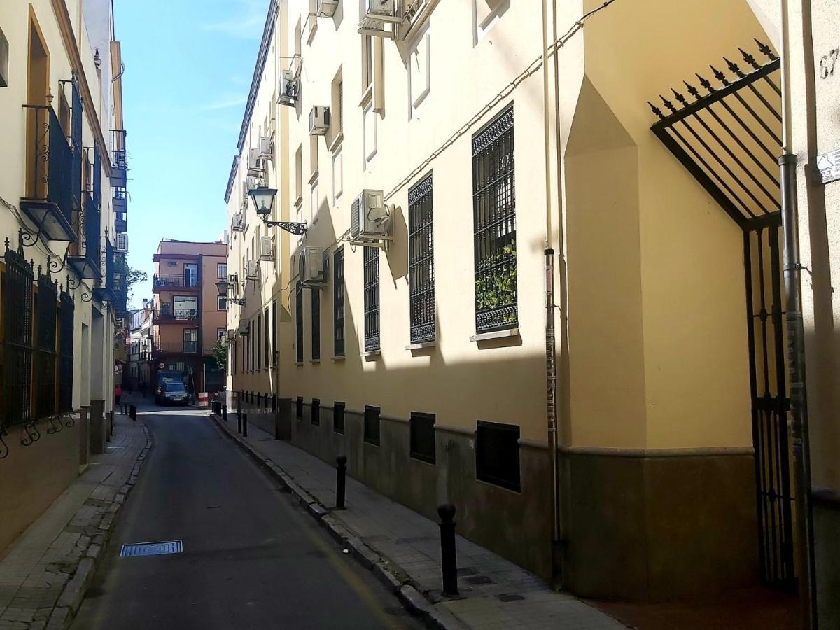 Apartment Enladrillada.parking Incluido.cuna Del Flamenco Sevilla